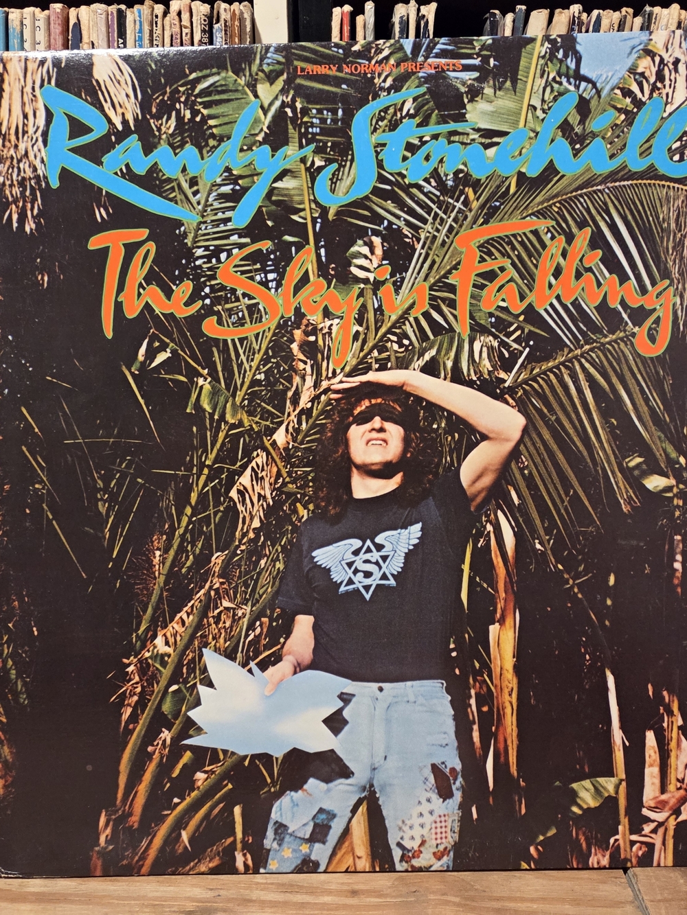 Randy Stonehill "The Sky is Falling" vintage christian vinyl 1980